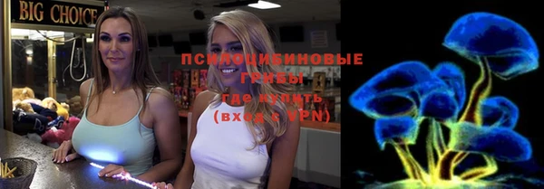 ПСИЛОЦИБИНОВЫЕ ГРИБЫ Алзамай