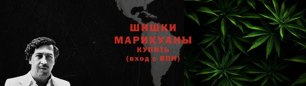 ПСИЛОЦИБИНОВЫЕ ГРИБЫ Алзамай