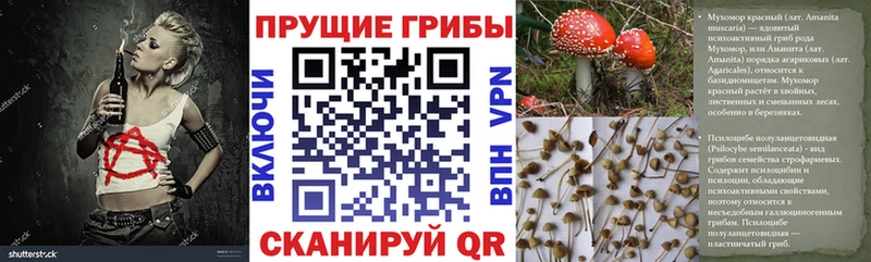 площадка как зайти  KRAKEN как войти  Галлюциногенные грибы мицелий  Нерехта  где купить наркоту 