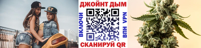 Бошки Шишки планчик  Нерехта 